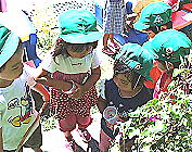 ���ڂ��ā@����`��