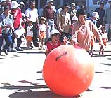 ���΂�������A�����������Ƒ�ʂ��낲��