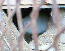 �{�N��������